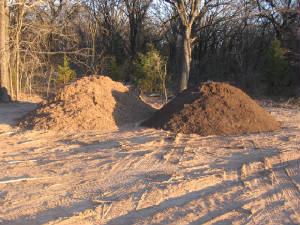 IMG1571.JPG